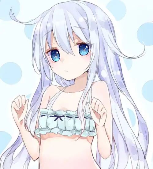 舰队collection 舰队collection