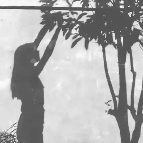  我应该算有钱人吧,自带飞机场母婴频道