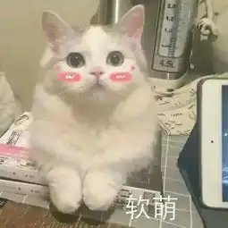 搞怪表情图片真人头像灵