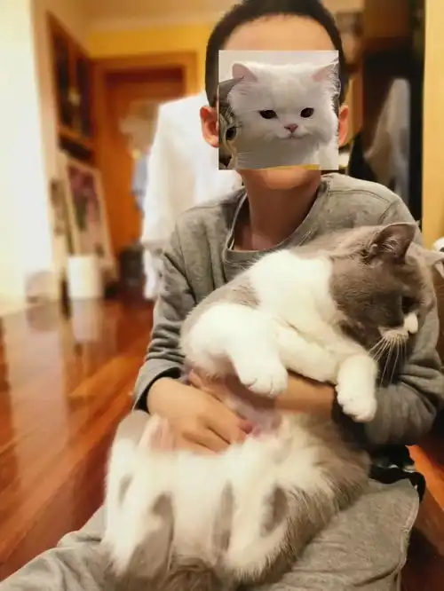  自闭症男孩与猫我的频道,只有你听到