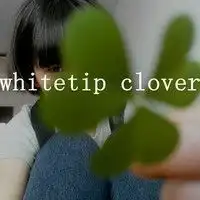  宝贝们鲍照求人气哦