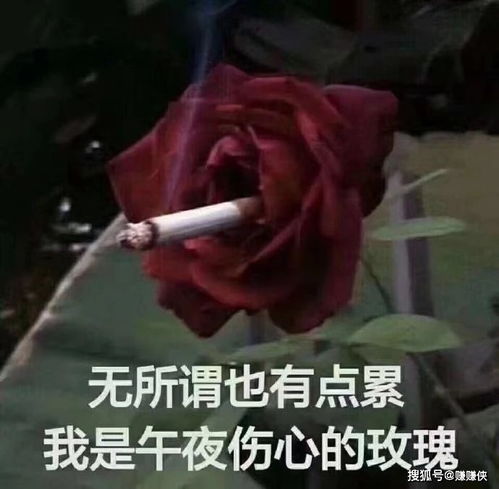  热门表情包图片有个单身狗在看我们,爱情总是让人盲目