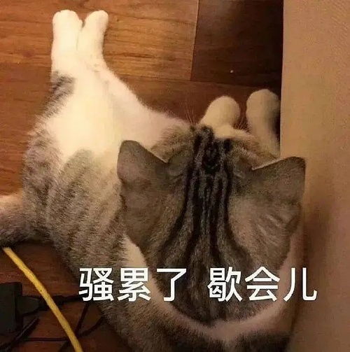  看了防抑郁