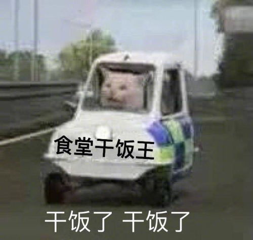  手机里那些最宝贝的表情包,速来收图