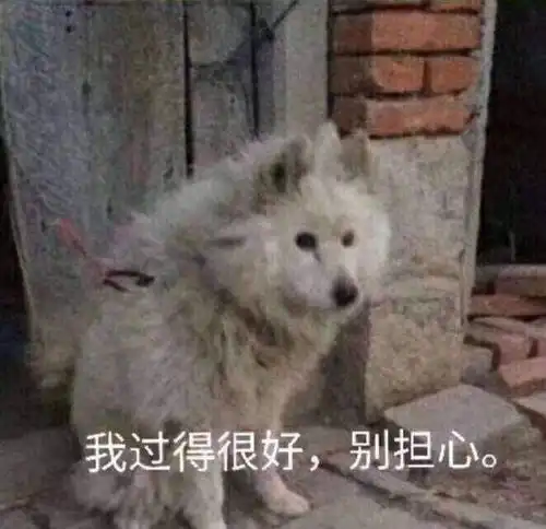  有哪些适合发说说的沙雕句子