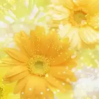  最美花卉微信头像图片微信头像图片大全