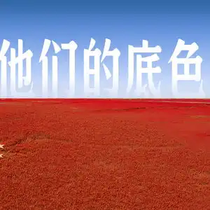  清澈的爱丨有一种表白叫我爱你中国