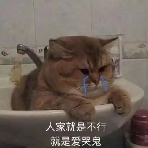  你来南宁那么久了,为什么还单身