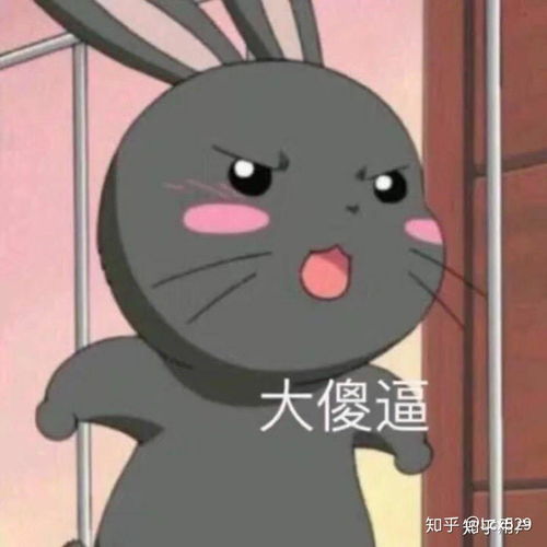  你曾起过最沙雕的网名是什么