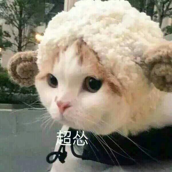  有哪些学音乐小三门可以用到的手机软件