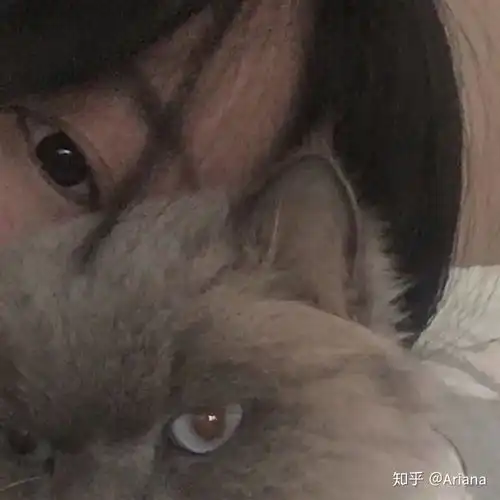  真人男女头像没有了你,山河太阳星星都多余