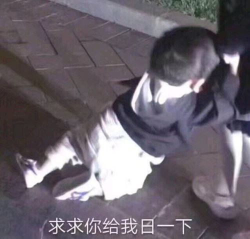  表情包沙雕网友快乐源泉哈哈