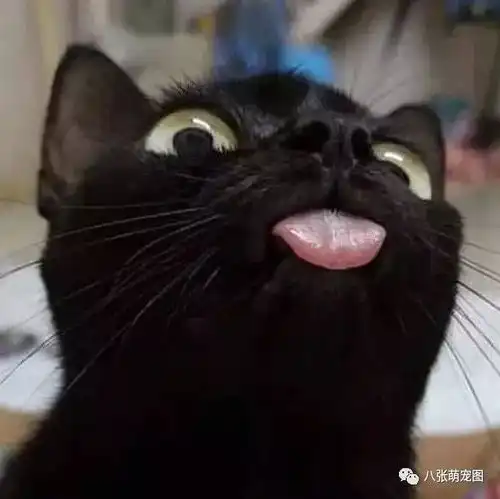  略略略略略略略略.....