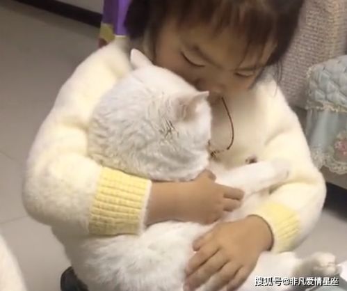  湖北一小女孩抱着猫咪写作业,猫咪眼神满满爱意,画面温馨有爱