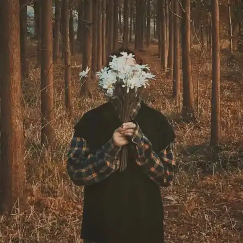  英文小众文案