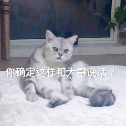  高情商体验室