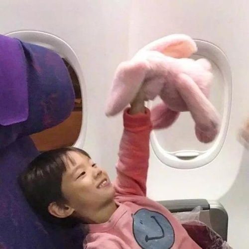  已找到求一组情头是一个小男孩和小女孩在飞机上举着兔子玩具的