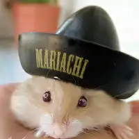  懵懂可爱小仓鼠可爱头像