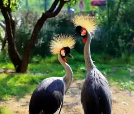  开门有礼4月17日济南野生动物世界西门正式启用