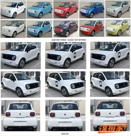 疑似新款欧拉黑猫申报图曝光或将年中推出 疑似新款欧拉黑猫申报图曝光或将年中推出