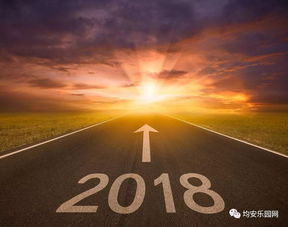  2018年均安最火爆微信群出现了,均安街坊来接力