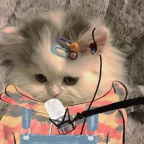  我的收藏