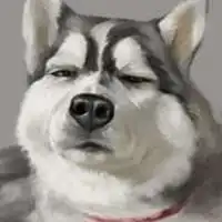 主人与哈士奇的头像微信头像图片大全