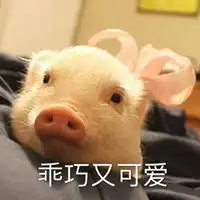  搞笑动物表情包微信头像图片大全