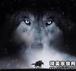 狼图腾头像