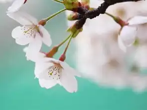  影响男人事业运的风水格局,不得不知道