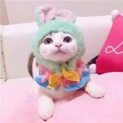  情侣头像,不努力才觉得努力没有用