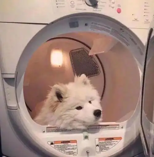  头像姐妹成队快乐加倍
