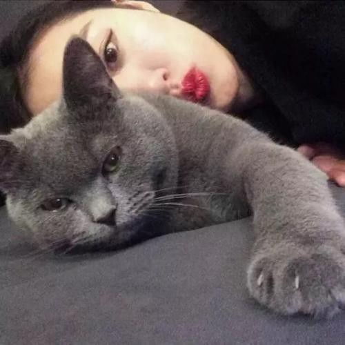 头像猫咪图片情侣头像男