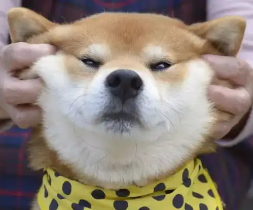  东京举行反浪漫资本主义游行,日本又在情人节搞事情