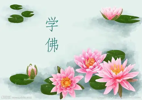  老两口反目只为花草,学佛后付诸一笑重修好