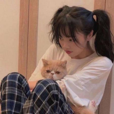  抱猫的女生头像,最新抱猫的高冷女生头像图片