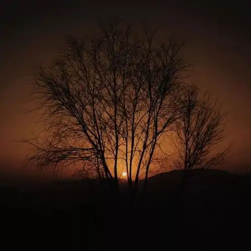 如何塑造一张照片的立体感 如何塑造一张照片的立体感