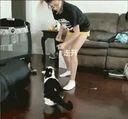  搞笑gif我就想问问,哪个女汉子能有我老婆厉害