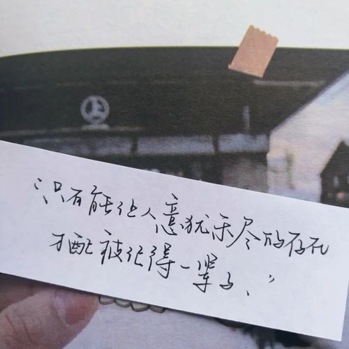  温柔的八字短句文案