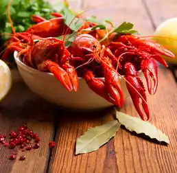  crayfish一只小龙虾的故事