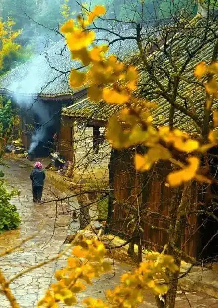一禅小和尚情侣头像一对