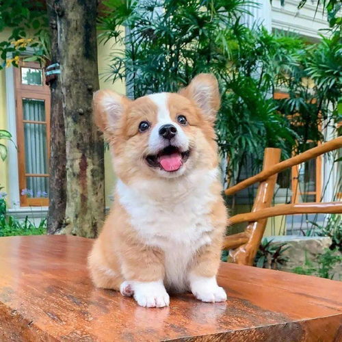  宝贝们,快来看这组头像