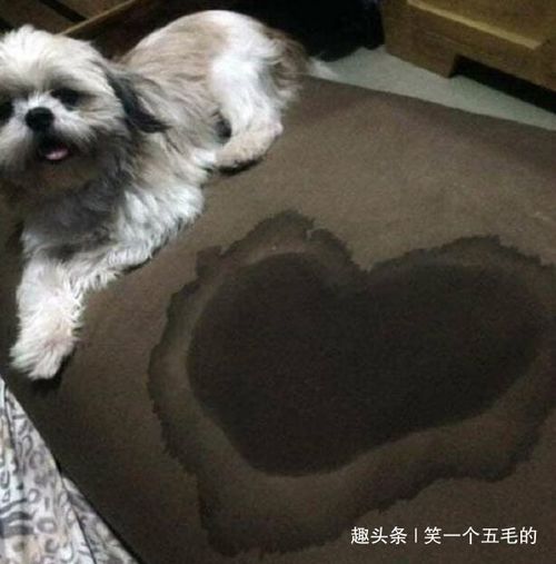  开心时刻刚刚在街上走着,听见一对小情侣吵架